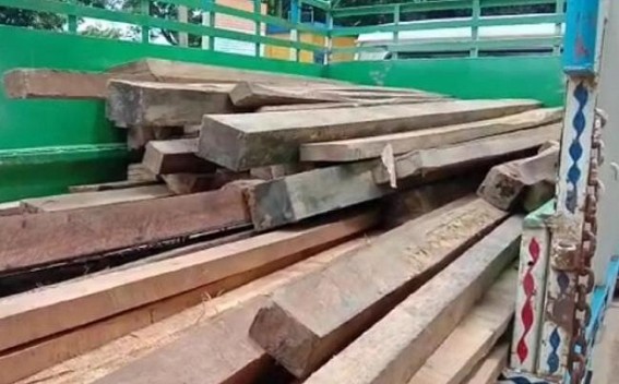 Amarpur Forest Department officials seized huge amount of timber from a house